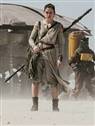Daisy Ridley - Star Wars : The Force Awakens